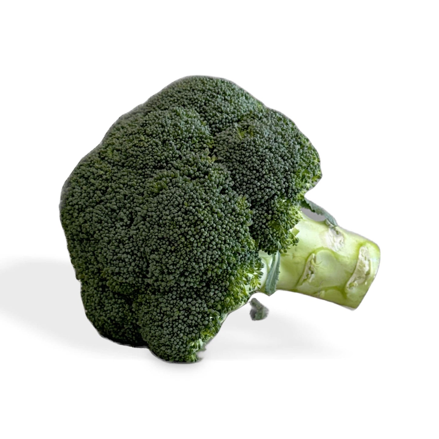 Broccoli Certified Organic (Per KG)