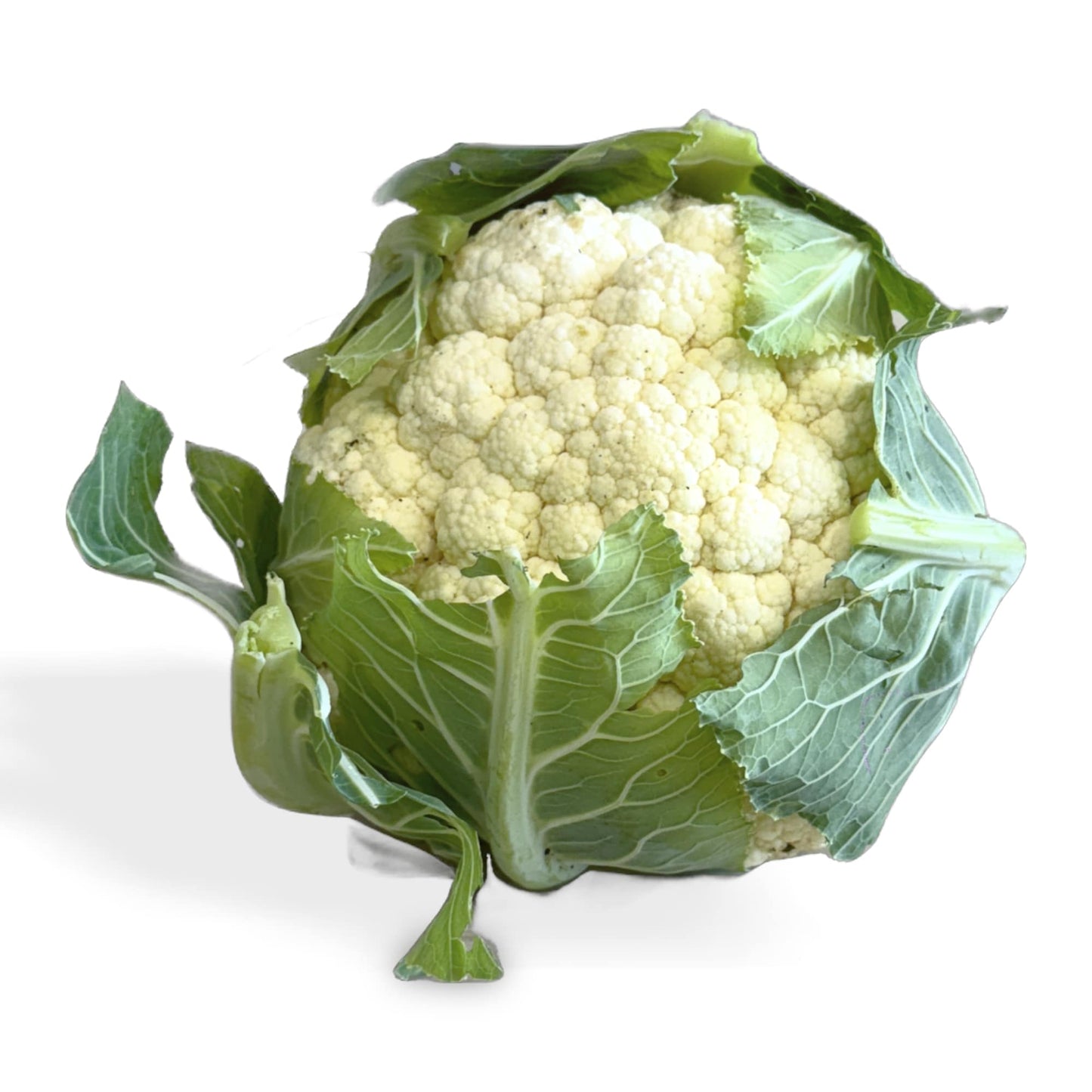 Cauliflower Whole Certified Organic (Per Item)