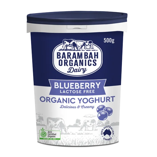 Barambah Organics Organic Blueberry Yoghurt 500g