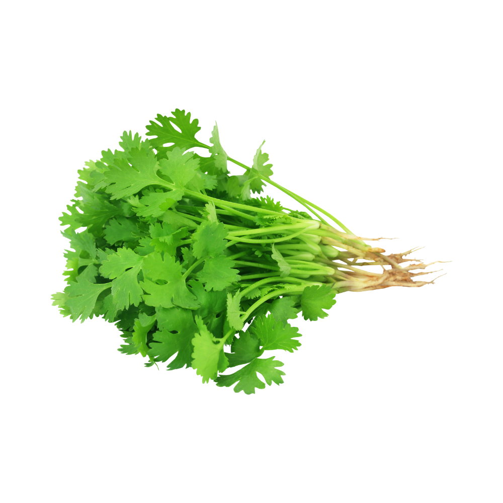 Coriander Certified Organic (Per Bunch)