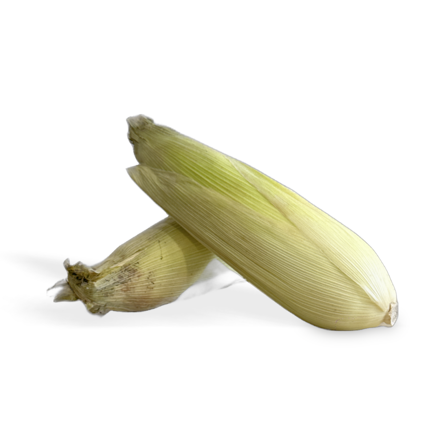 Corn Cob Certified Organic (Per Cob)