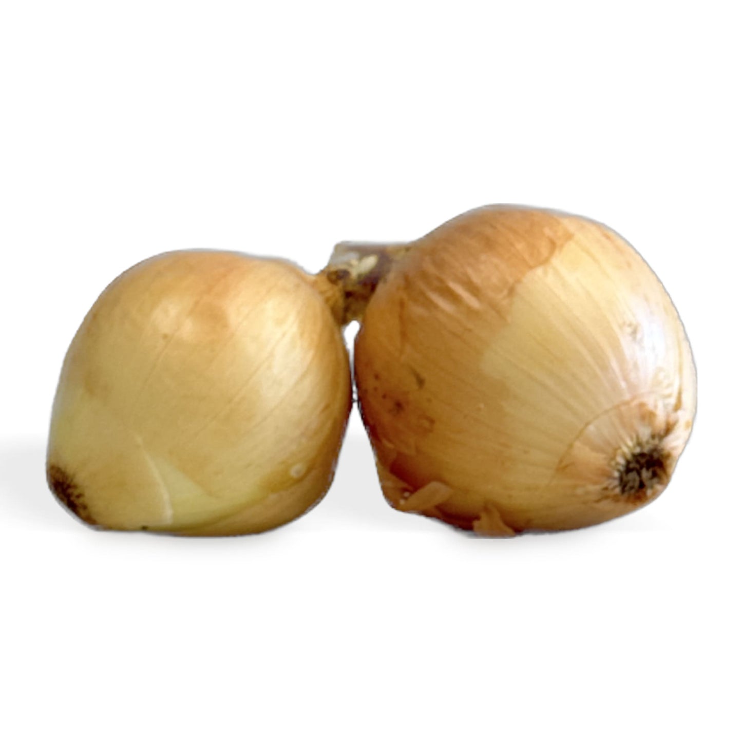 Brown Onions Certified Organic (Per KG)