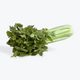 Celery Certified Organic (Per Bunch)