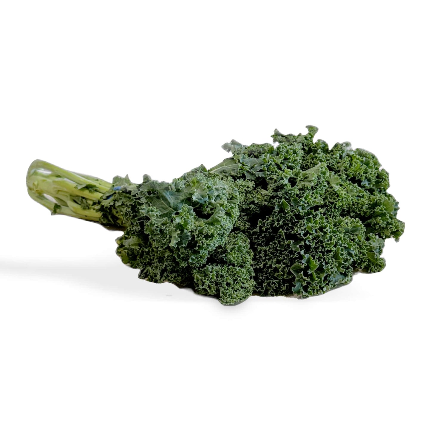 Kale Certified Organic (Per Bunch)