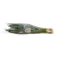 Spring Onion Certified Organic (Per Bunch)