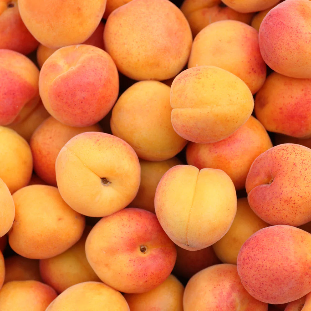 Apricots Certified Organic (Per KG)