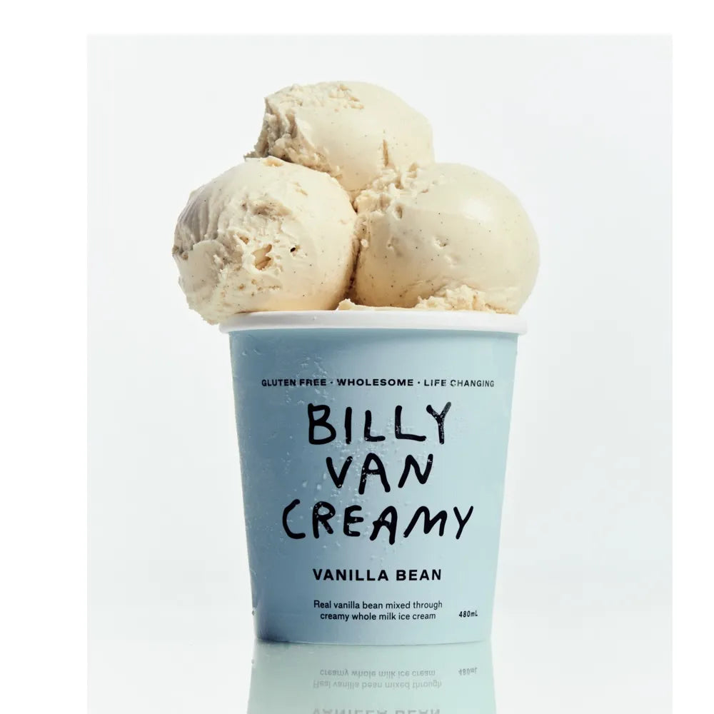 Billy Van Creamy Vanilla Ice Cream 480g