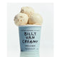 Billy Van Creamy Vanilla Ice Cream 480g