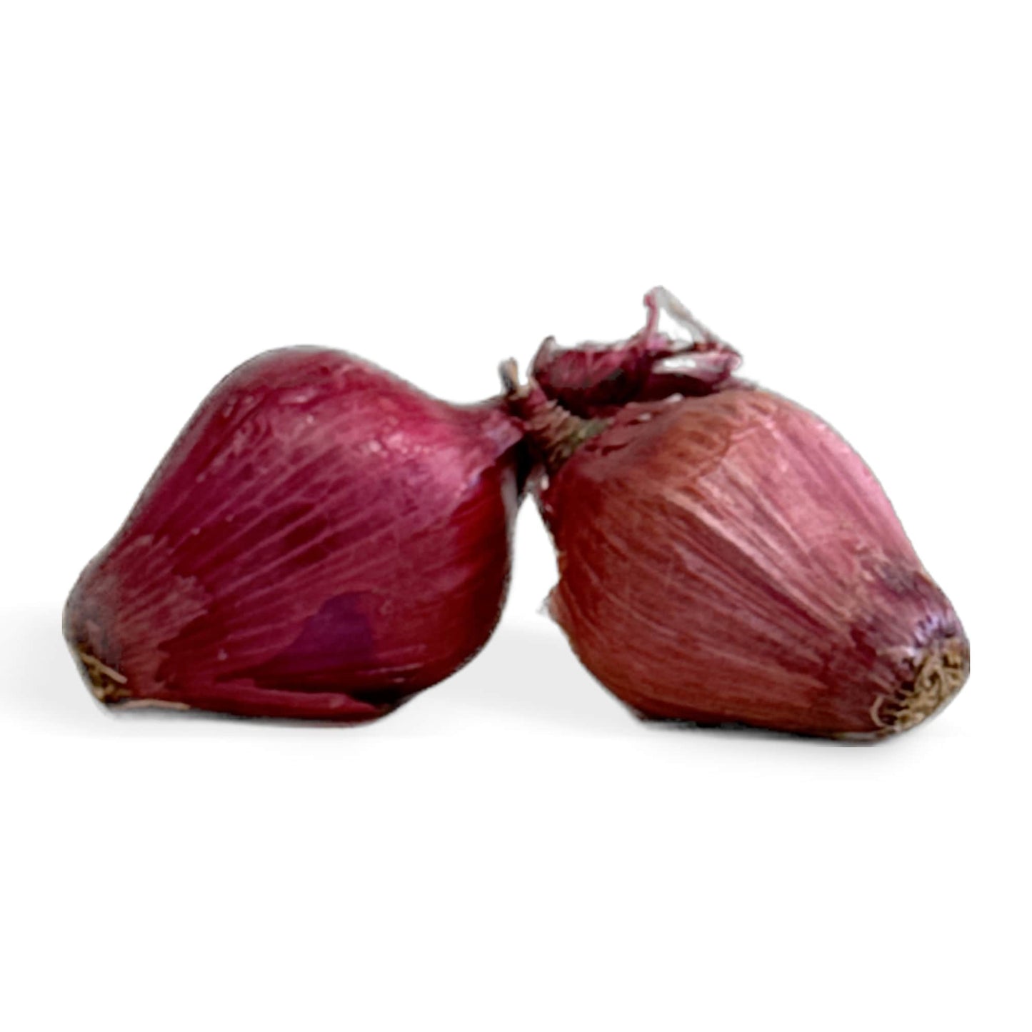 Red Onions Certified Organic (Per KG)