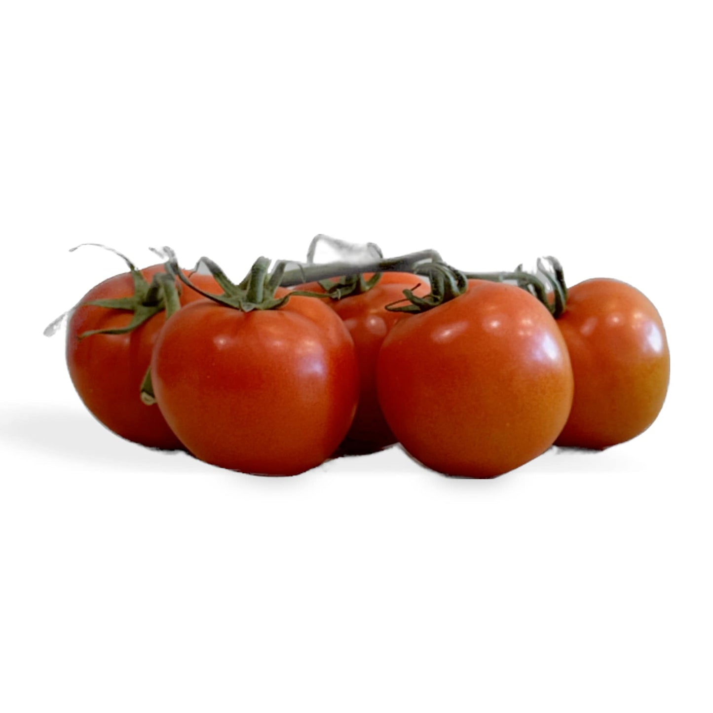 Tomatos Truss Certified Organic (Per KG)