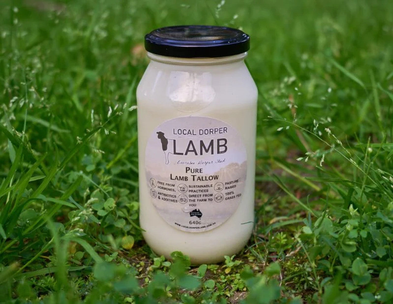 Local Dorper Lamb Pure Lamb Tallow 640g