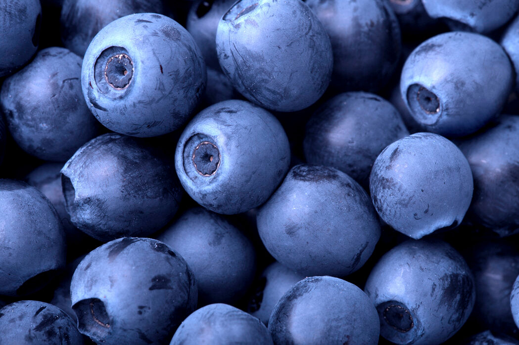 Blueberries Certified Organic (Per Punnet)