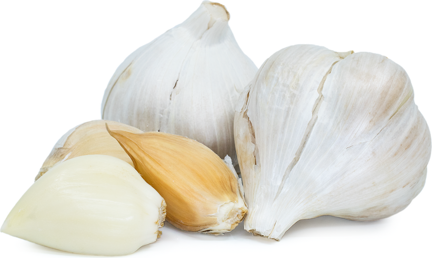 Elephant Garlic Certified Organic (Per Clove)