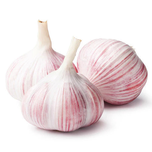 Garlic Certified Organic (Per Head)