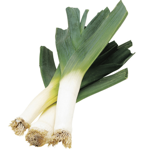 Leek Certified Organic (Per Bunch)