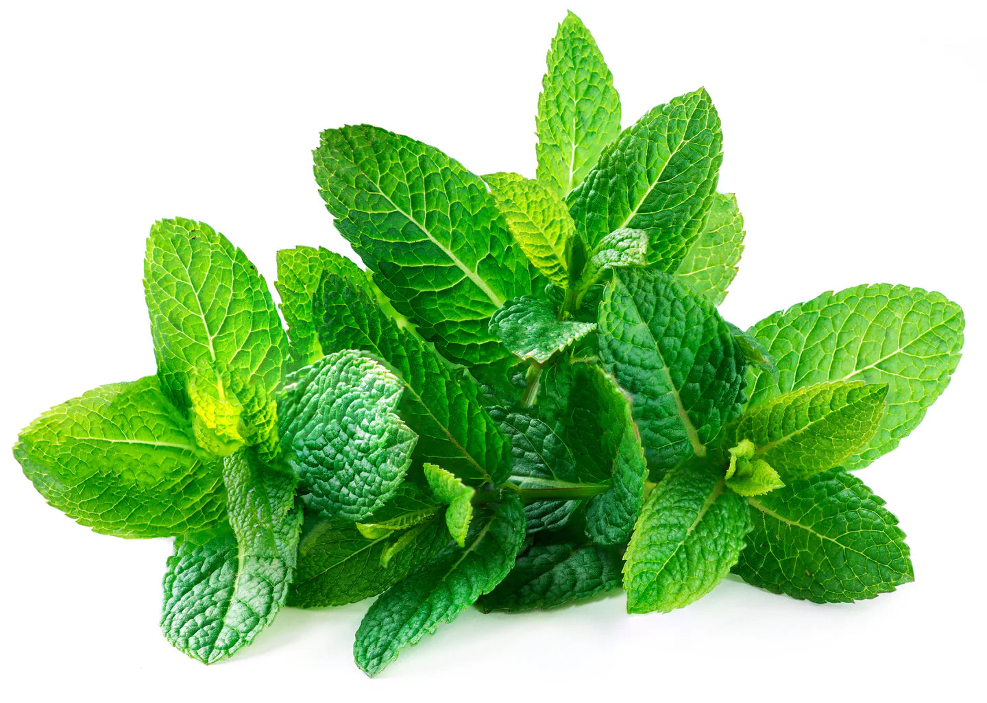 Mint Certified Organic (Per Bunch)