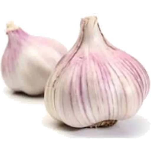 Garlic Purple Certified Organic (Per Head)